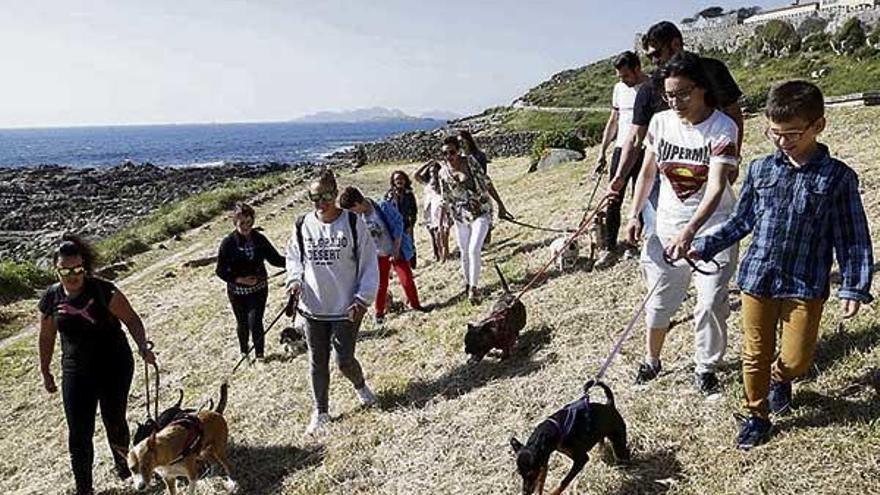 Los perros no podrán ir a la playa en 9 días y sus dueños urgen espacio