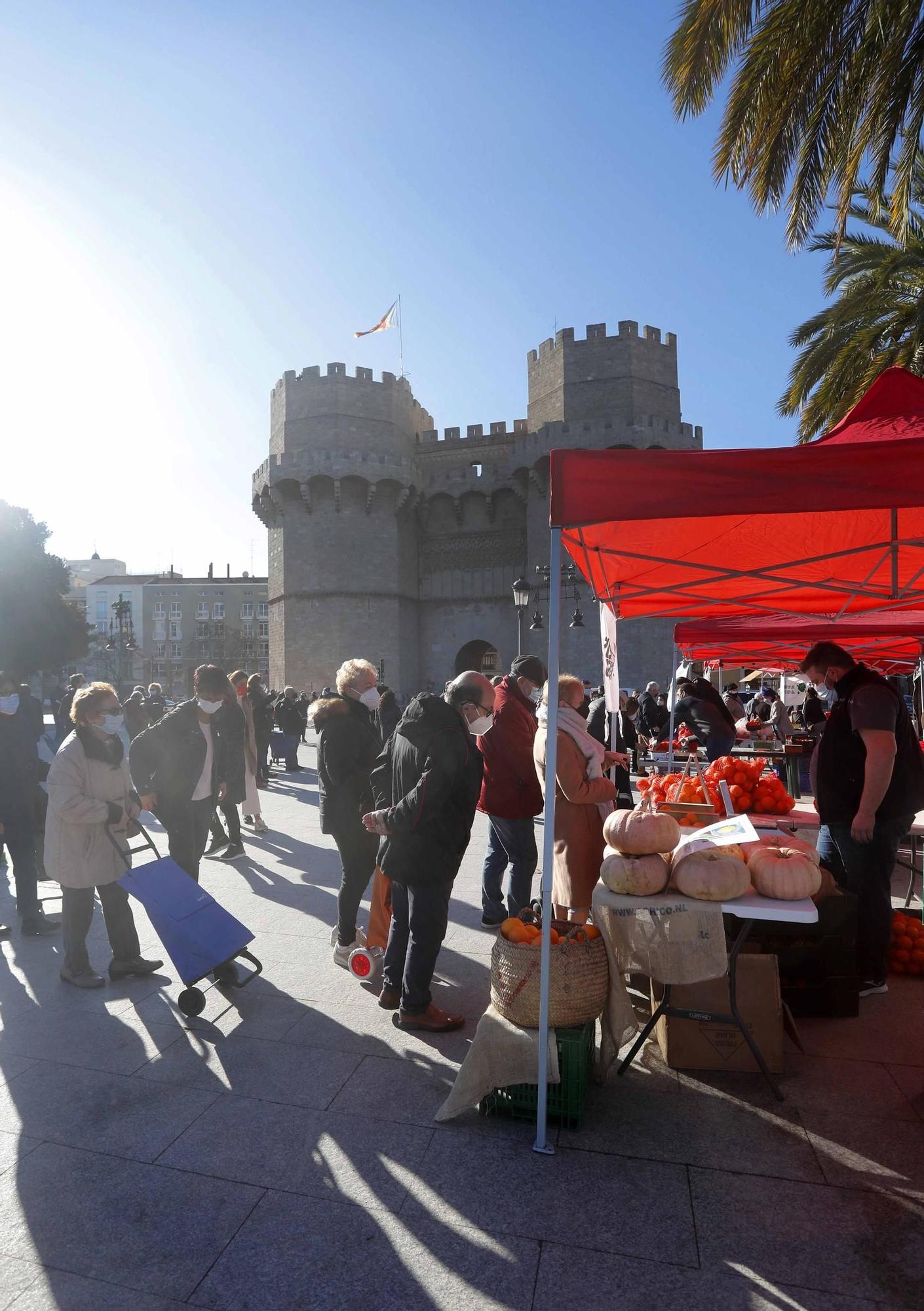 Mercat de la Taronja ante las Torres de Serrano