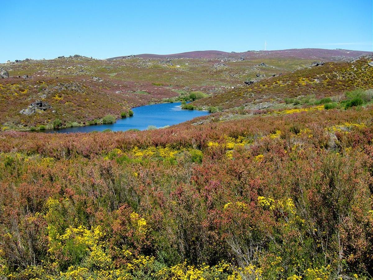 El Parque Natural de Montesinho cuenta con una gran riqueza en flora y fauna.