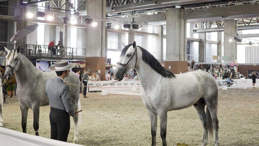 Feria del Caballo y el Toro