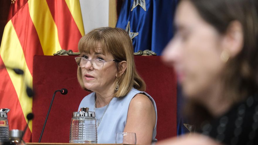 La asociación Temis Elx exige la dimisión o cese de la concejala Aurora Rodil