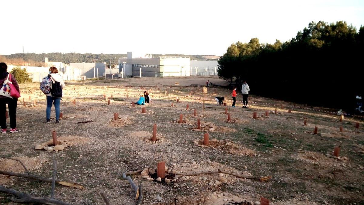 La acción forma parte del proyecto Aula Bosque y se ha realizado en un pinar anexo al centro educativo.