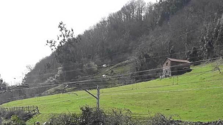 El paso de trenes vuelve a verse desde el río