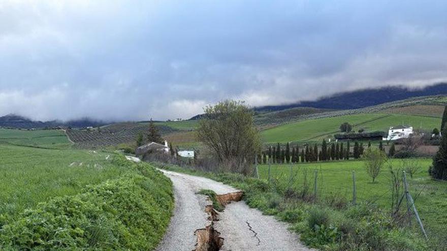 Camino de Cochinitas en Ronda.