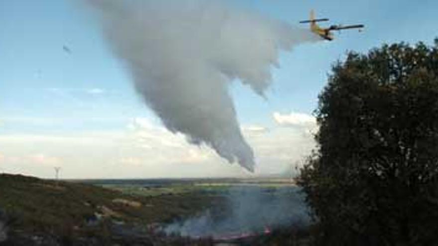 Los 4 incendios del viernes arrasan 1.400 hectáreas y 3 de ellos fueron intencionados