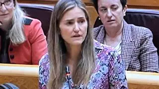 La directora del Instituto de Transición Justa y su antecesora no acudirán a la comisión parlamentaria sobre el accidente de Cerredo