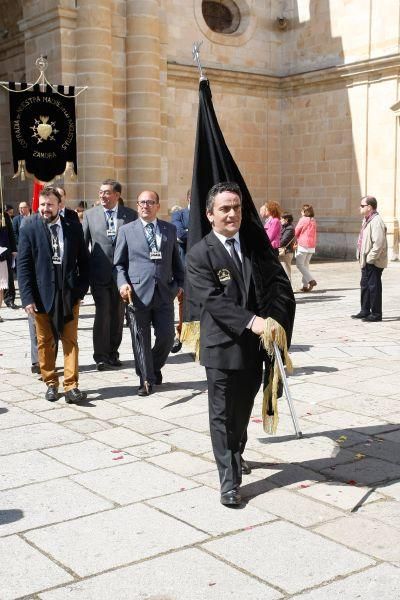 Así ha sido el Corpus 2016 en Zamora