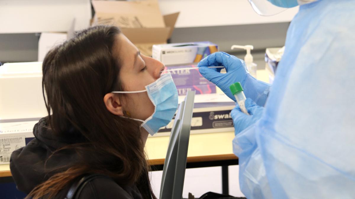 Una estudiant de la UdG de perfil mentre li fan una PCR en la primera jornada de cribratge massiu
