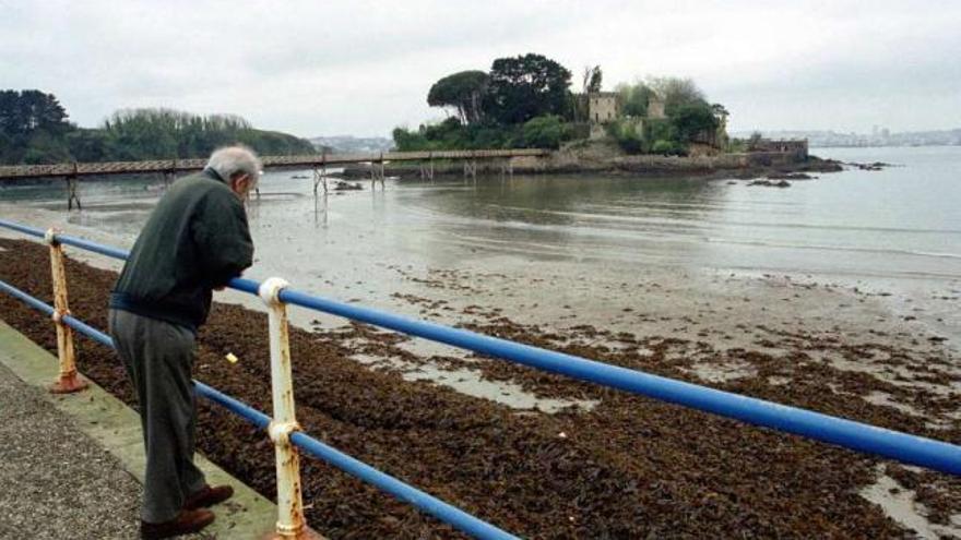 La playa de Santa Cruz en 2001, totalmente invadida por las algas. / m. fuentes