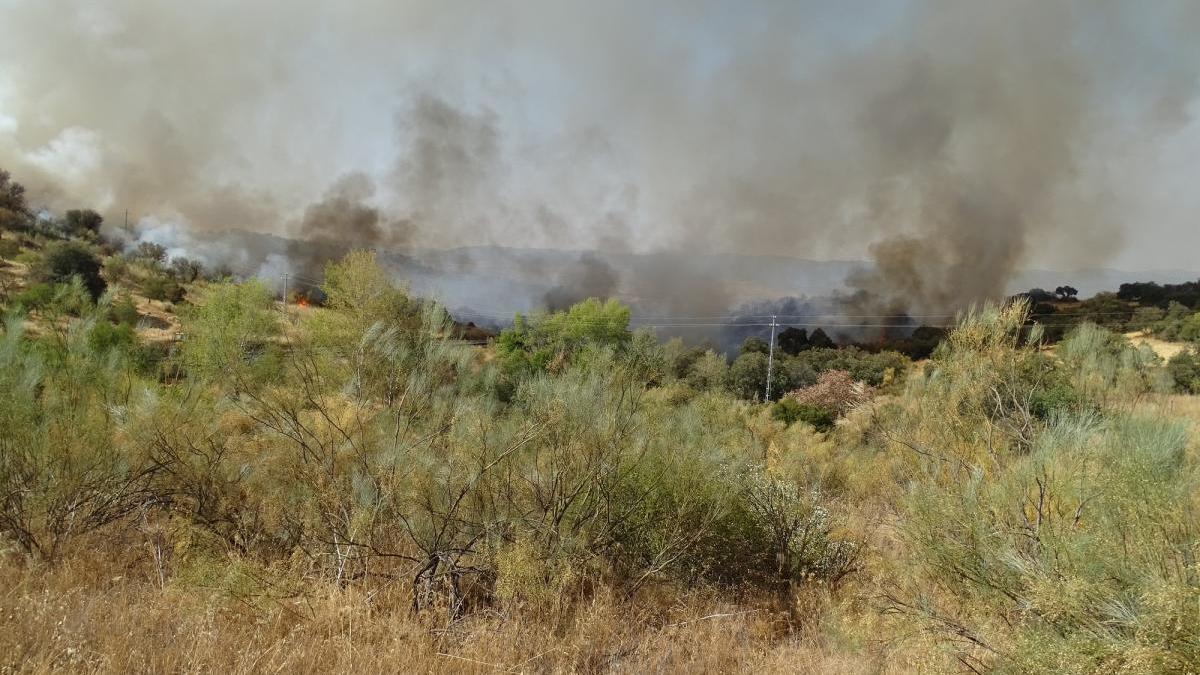 Tres personas investigadas por causar el incendio de Villanueva del Rey que quemó cerca de 28 hectáreas