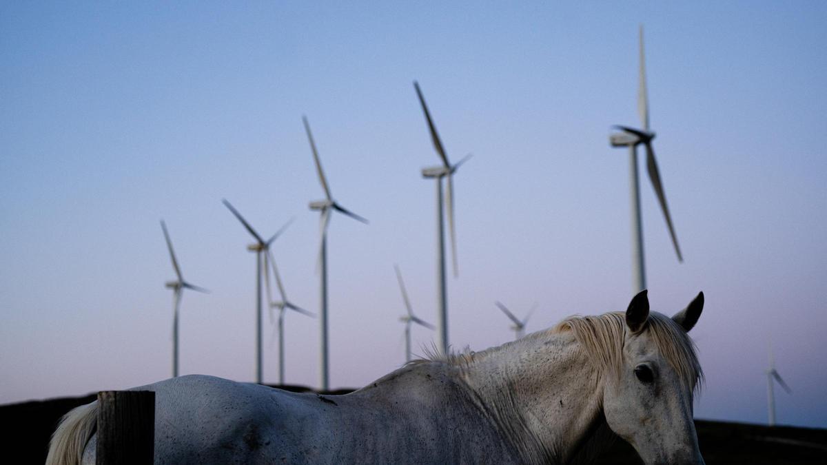 Esteban explora cómo la implantación creciente de infraestructuras eólicas y fotovoltaicas altera la relación entre territorio, identidad y comunidad.