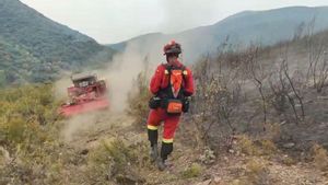 L’Exèrcit recorre al seu primer dron terrestre per a les tasques d’extinció