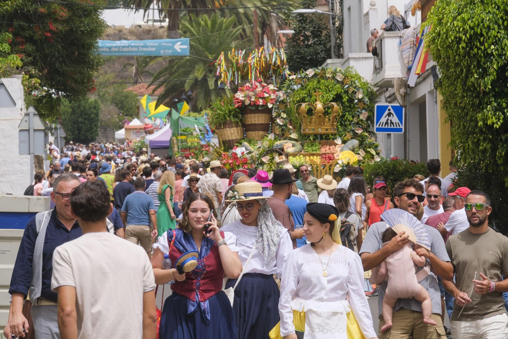 Ambiente previo a la romería del Pino. Las carretas aguardan junto al Castañero Gordo.