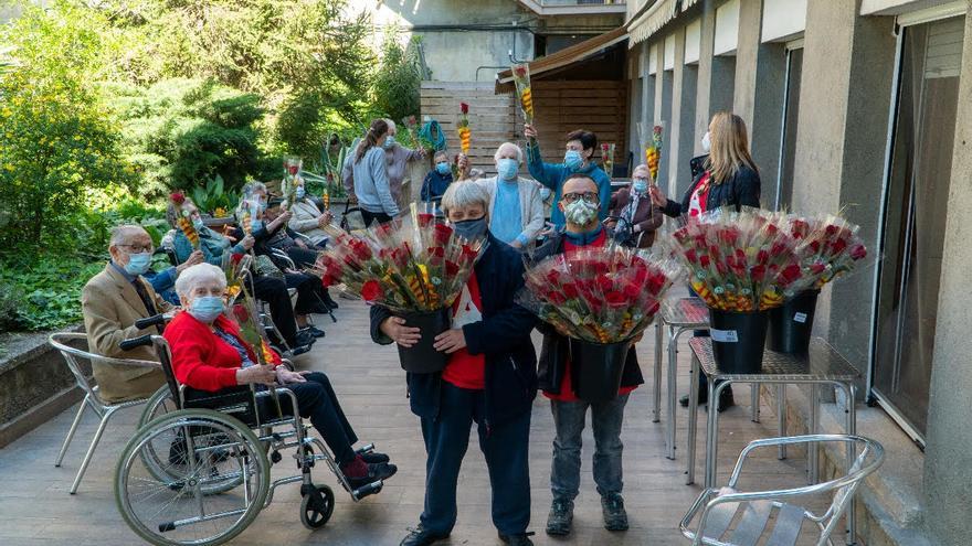 AMPANS preveu repartir tres mil roses a les residències de la Catalunya Central