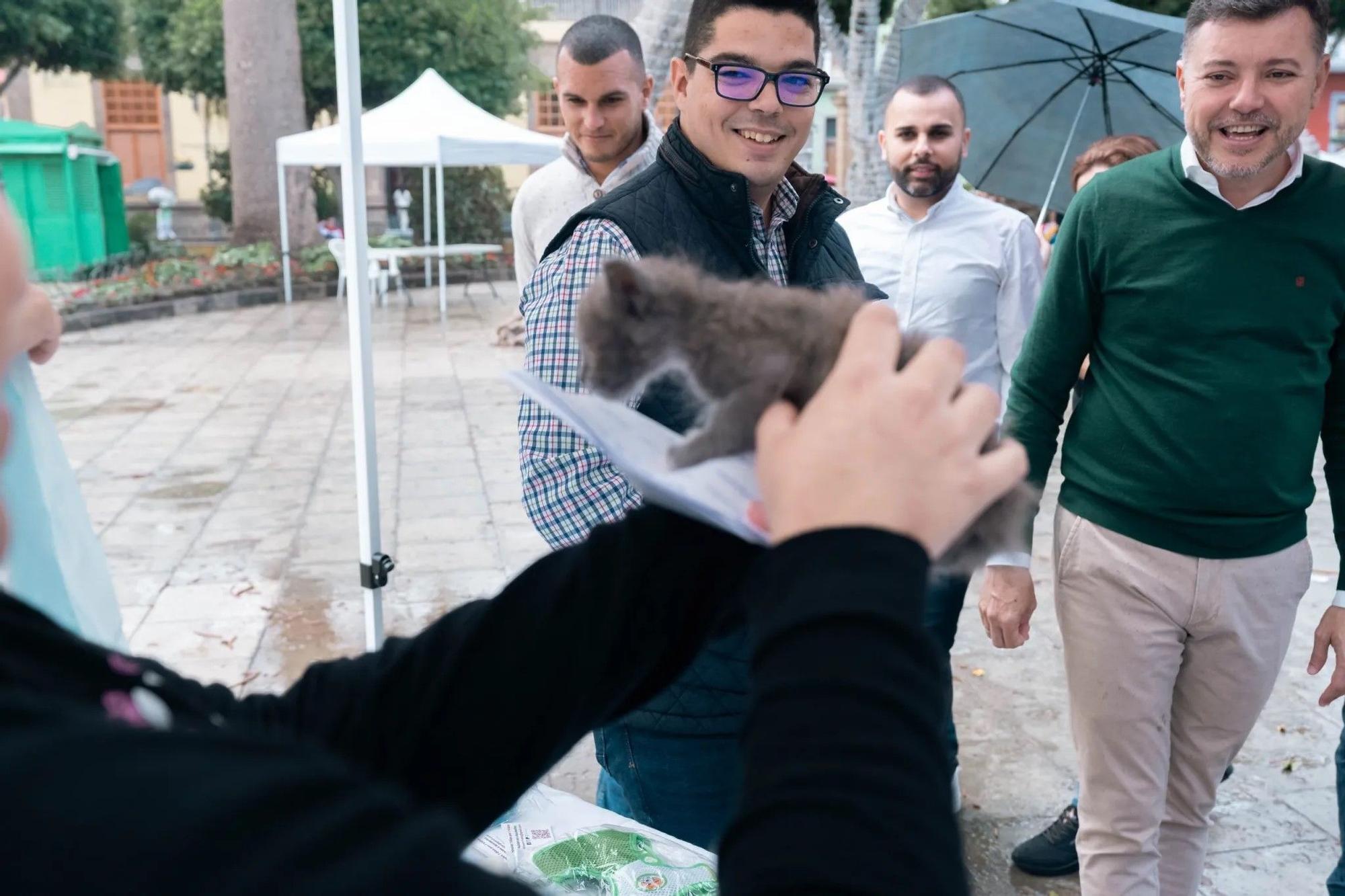 Jornadas de Bienestar Animal en Gáldar