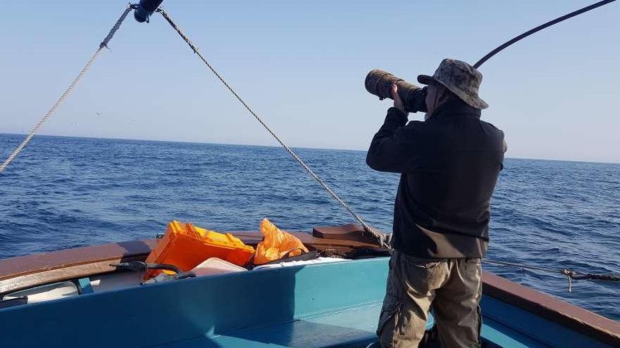 Observación de aves a bordo del barco &quot;Chasula&quot;. En el recuadro, un águila pescadora con su presa, fotografiada por el ornitólogo Xoán Diéguez desde la propia embarcación.