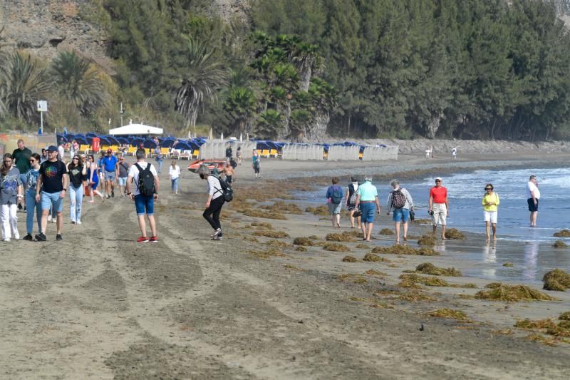 El viento y la calima siguen el jueves en Canarias y cierran Playa del Inglés por mala mar