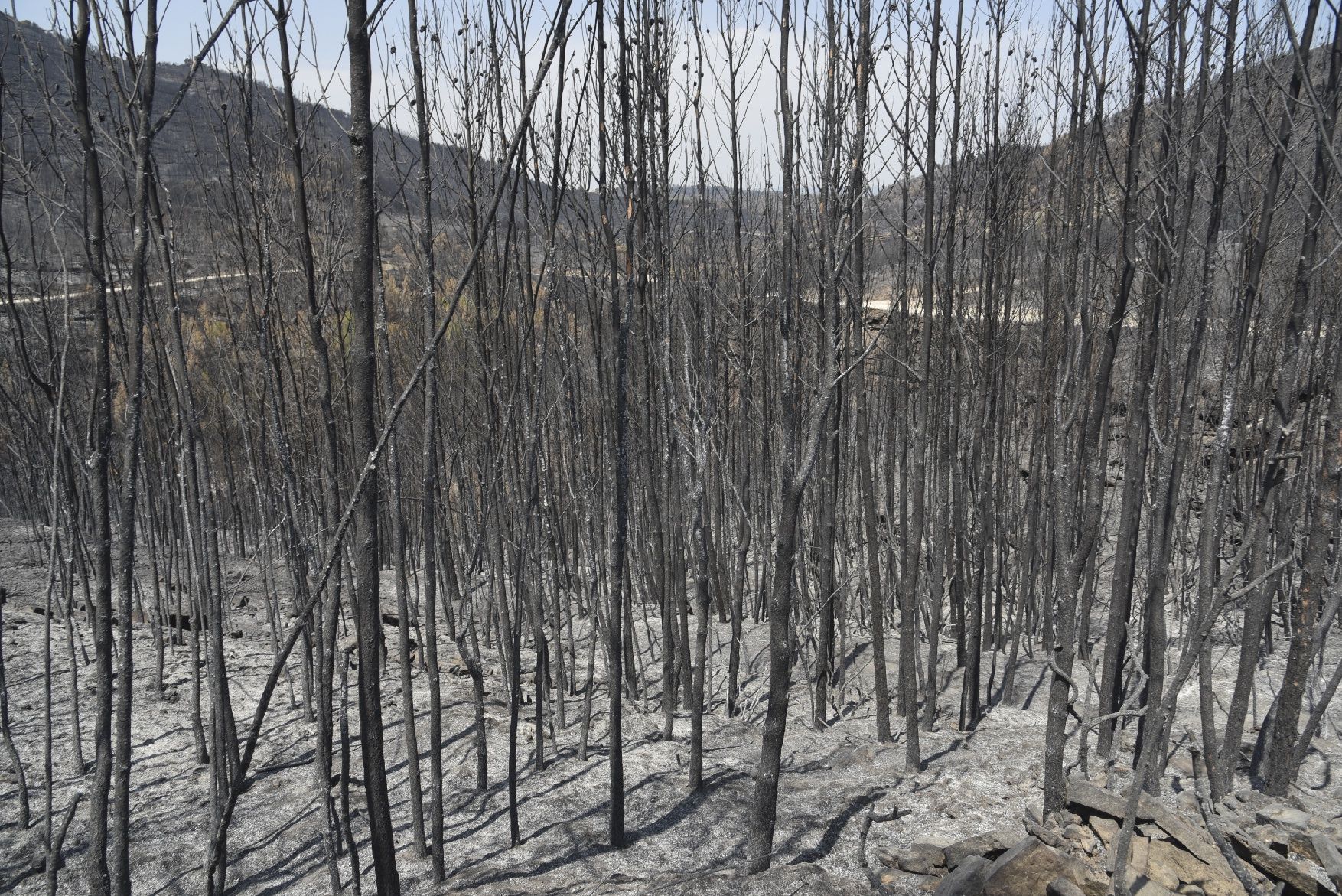 Així ha afectat el foc les tines de la Vall del Flequer