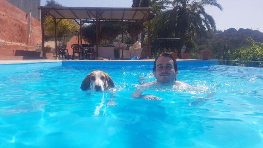 Tres perros de vacaciones