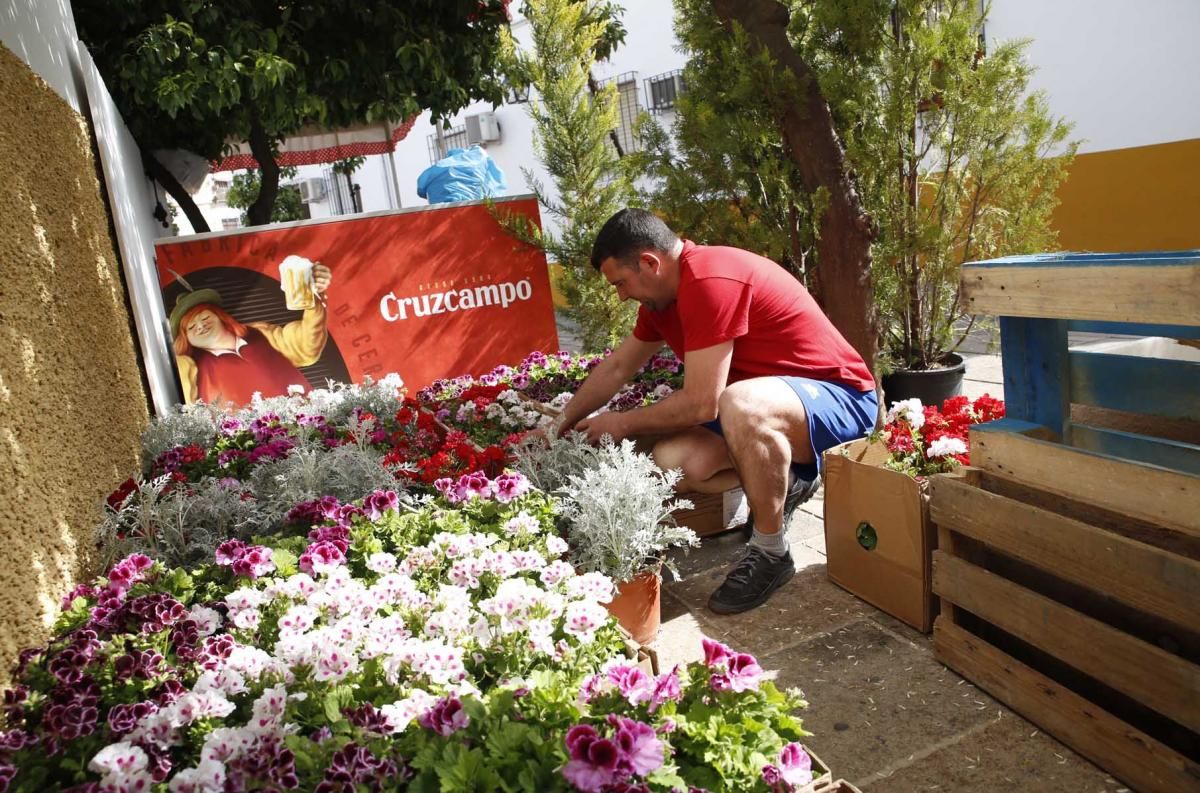 Las cruces se preparan para la fiesta