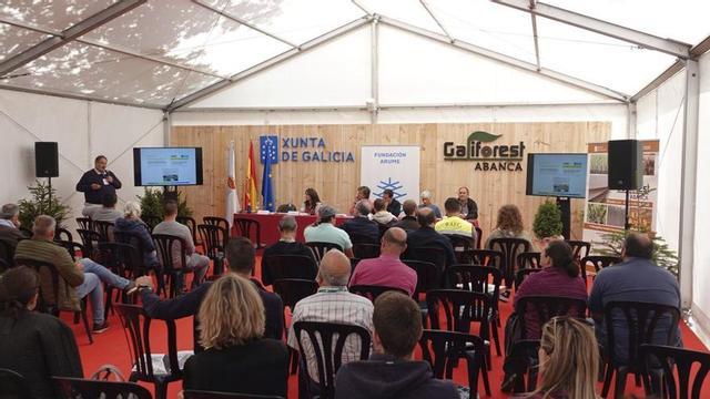 Jornada técnica en una edición anterior del certamen.  |