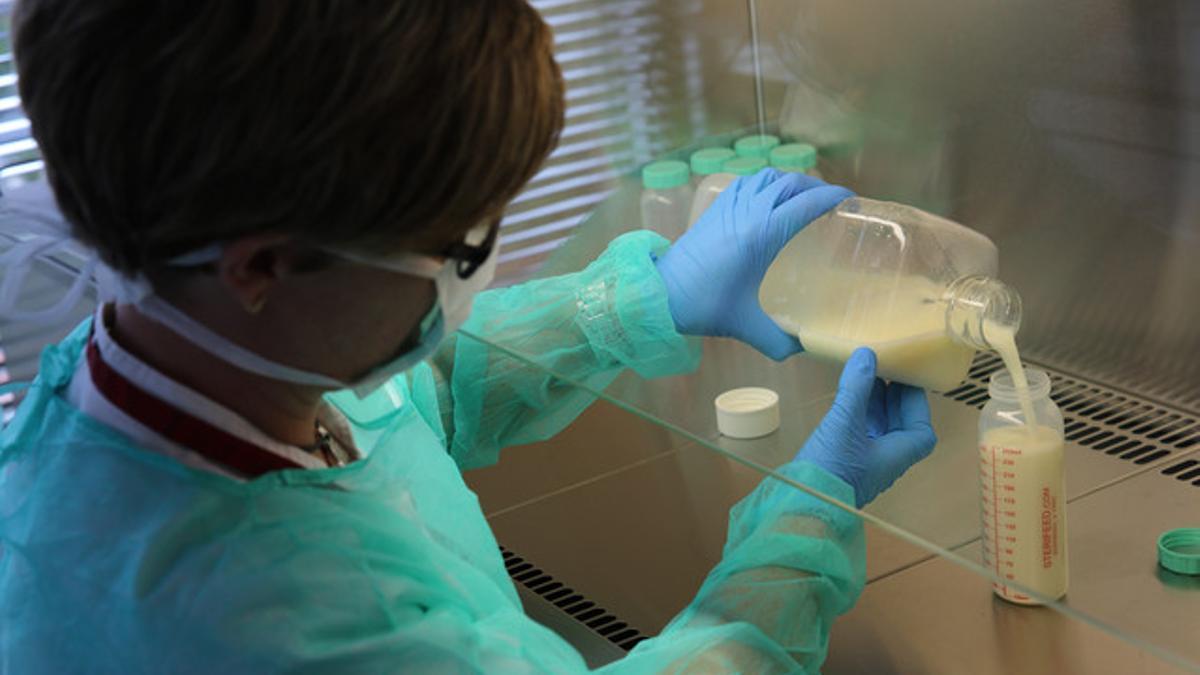 Tratamiento de leche materna humana en el Banc de Llet Materna de Catalunya (BLMC).