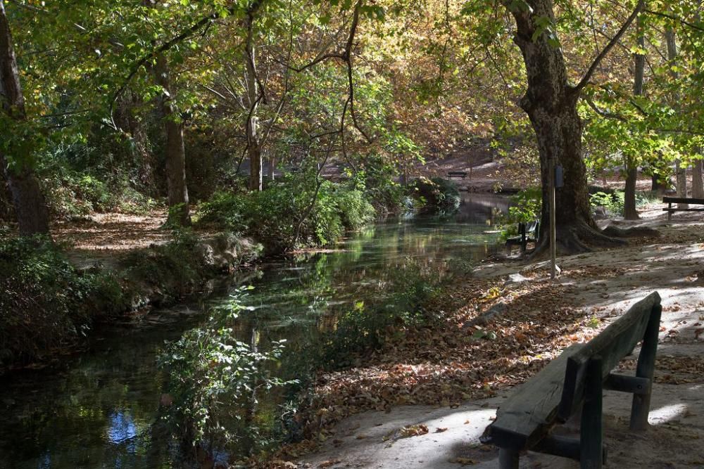 Fuentes del Marques: El otoño nace en Caravaca