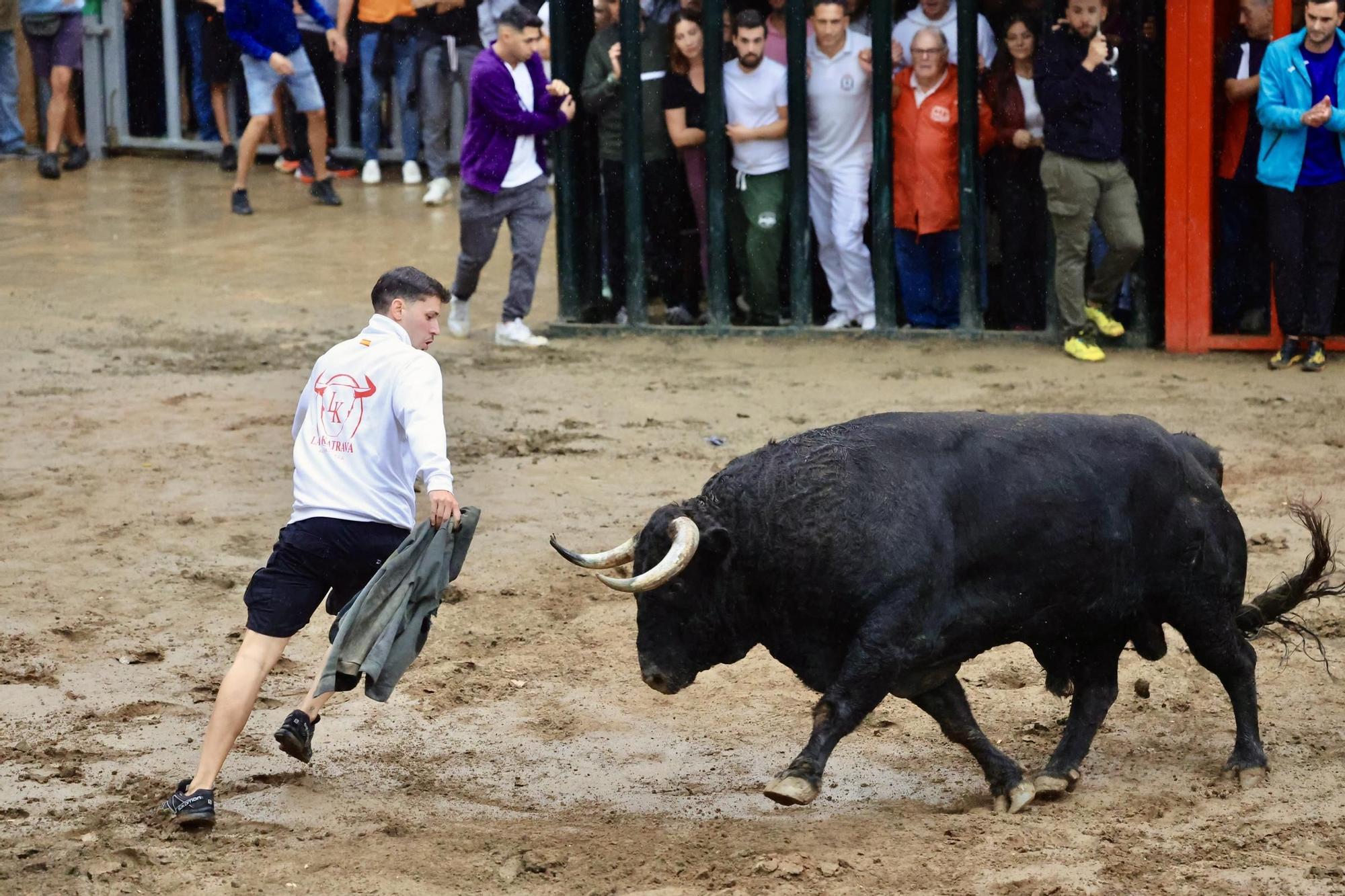 Galería de fotos de la penúltima tarde de toros de las fiestas del Roser en Almassora