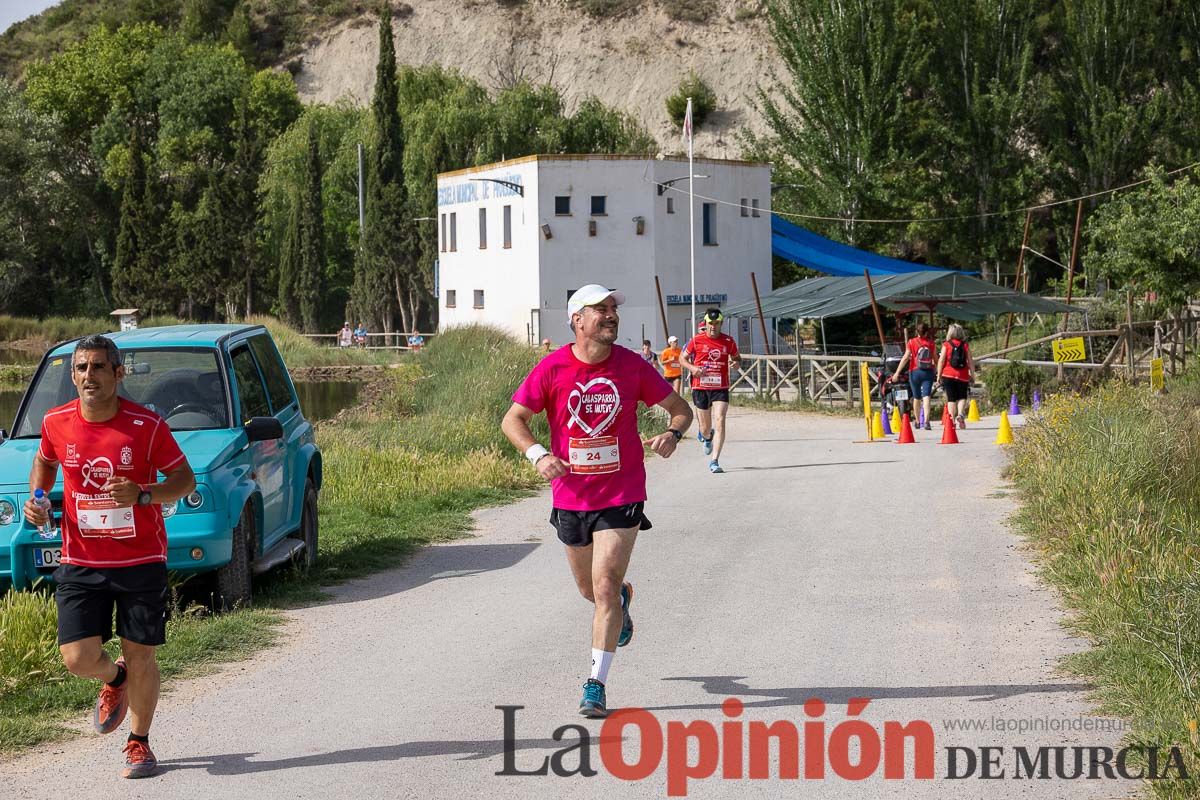 Carrera 'Entre arrozales' en Calasparra (carrera)