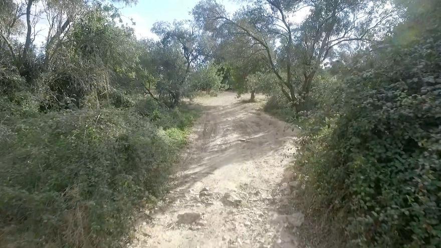 &quot;El TSJ se basa en una foto de Google Maps para justificar la falta de conectividad de les Moles&quot;