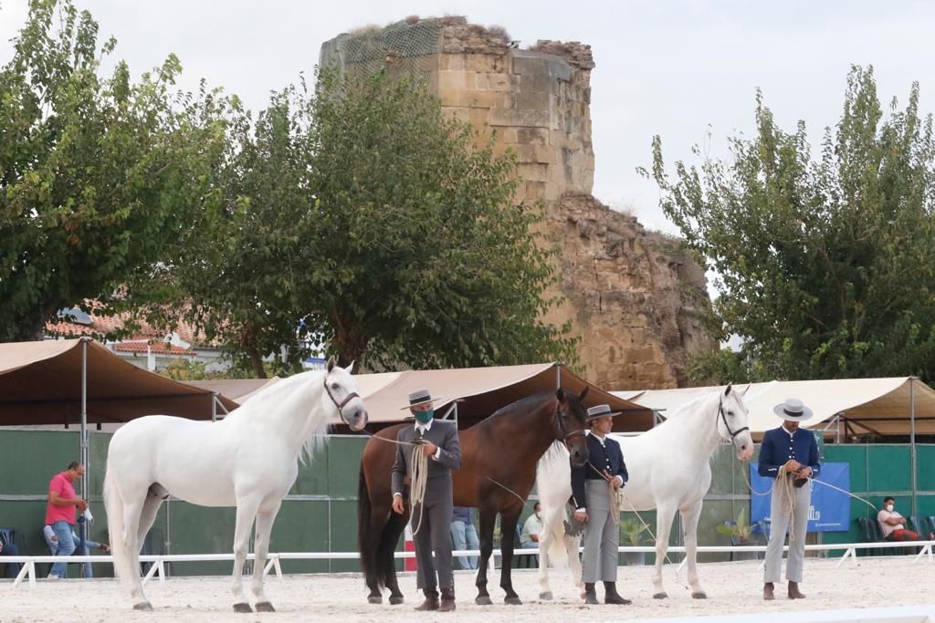 Cabalcor desafía a la lluvia