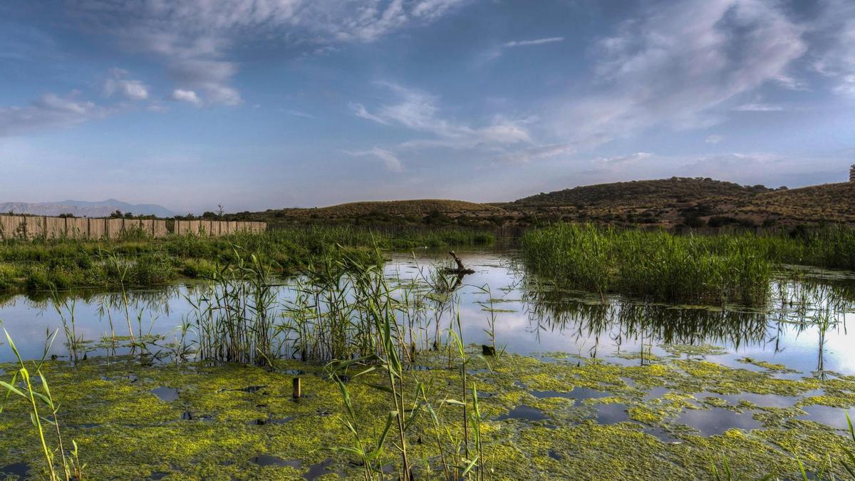 Hoy, el Clot de Galvany es un referente de resiliencia frente a la emergencia climática