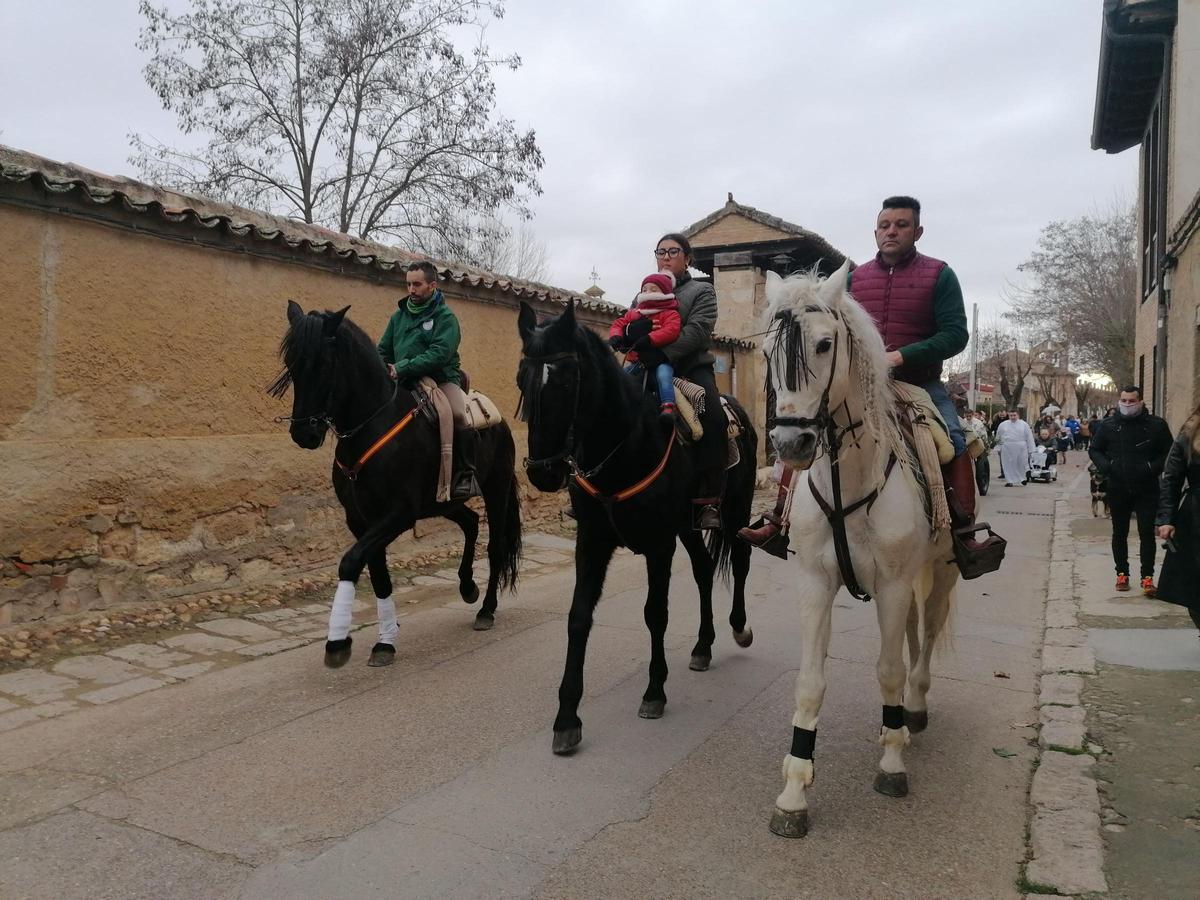 GALERÍA | San Antón procesiona por primera vez en Toro