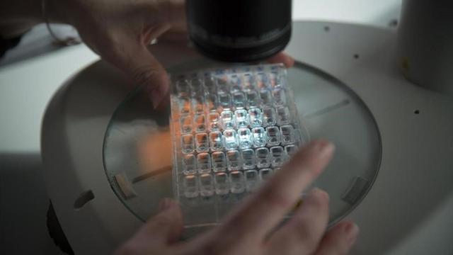 Trabajo en un laboratorio.