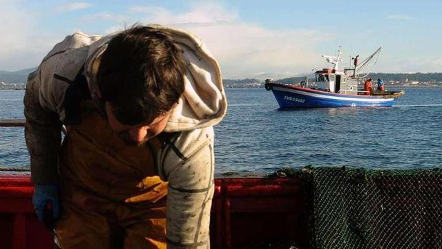 Un pescador de Cambados con un capazo de vieira, en la campaña pasada. // Iñaki Abella
