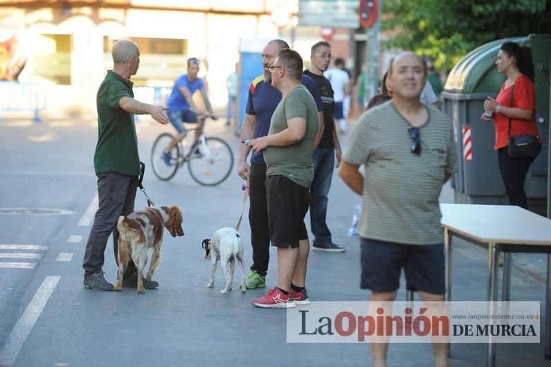 Carrera popular en Aljucer