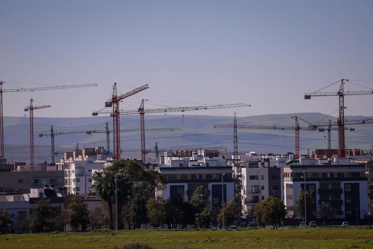 Viviendas en construcción en el barrio de Huerta de Santa Isabel Este, donde queda ya poco suelo.