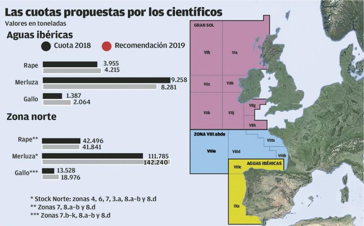 Los científicos plantean subir un 27% el cupo de merluza en Gran Sol y un 40% el del gallo