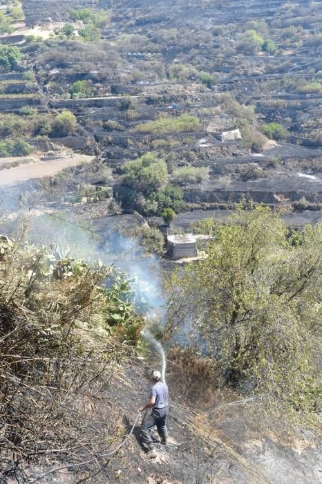 11-08-2019 Artenara. Segundo día del incendio en la cumbre  | 11/08/2019 | Fotógrafo: Andrés Cruz