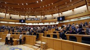 Imagen de archivo de un pleno del Senado.