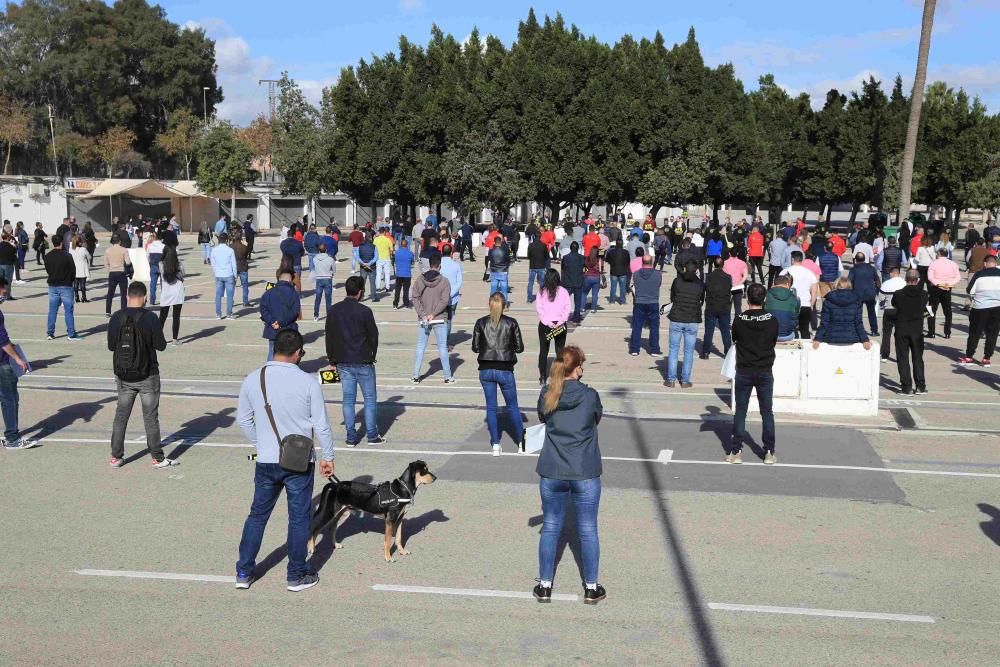 Hosteleros colapsan el centro de Lorca reclamando la apertura de sus negocios