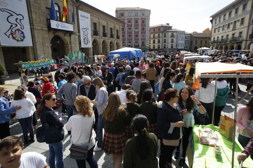 Mercado de cooperativas y asociaciones en Avilés