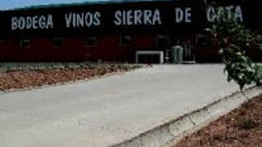 Noventa personas asisten a loscursos de la cooperativa de vino