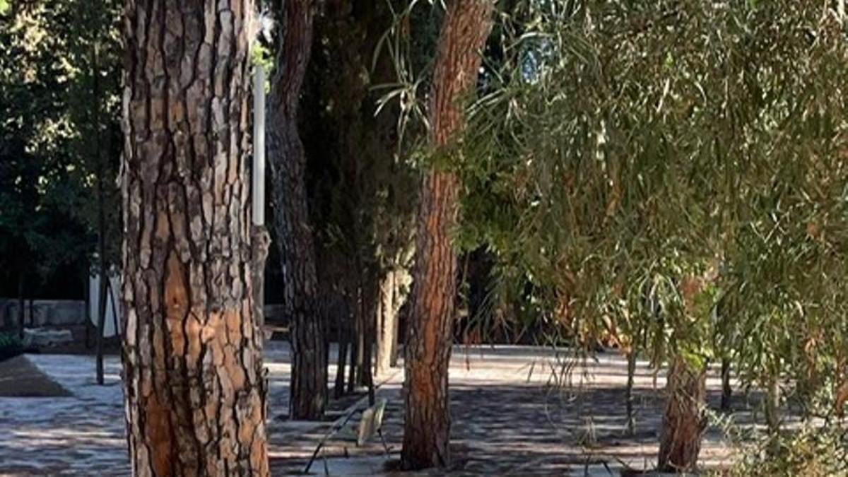 Zona adoquinada en el parque Vigil de Quiñones  en una imagen de Ecologistas Malaka.