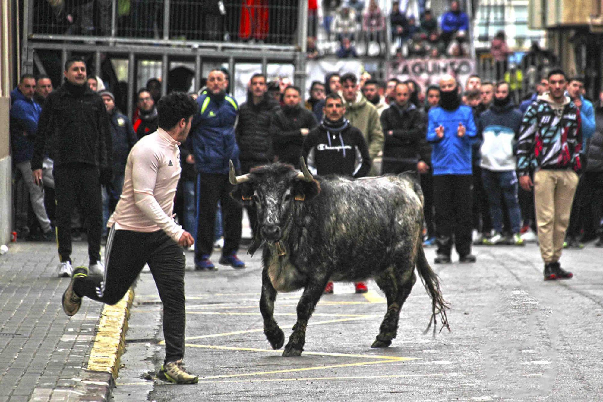 Actos taurinos por Sant Antoni en Sagunt