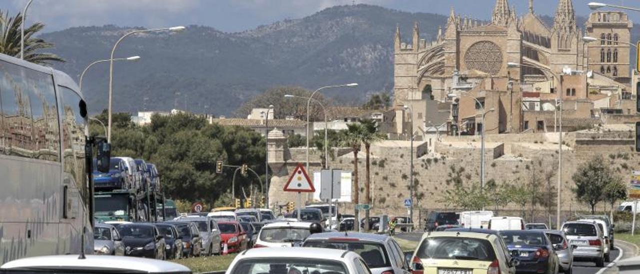 El Consell de Mallorca estudia limitar la flota de coches de alquiler.