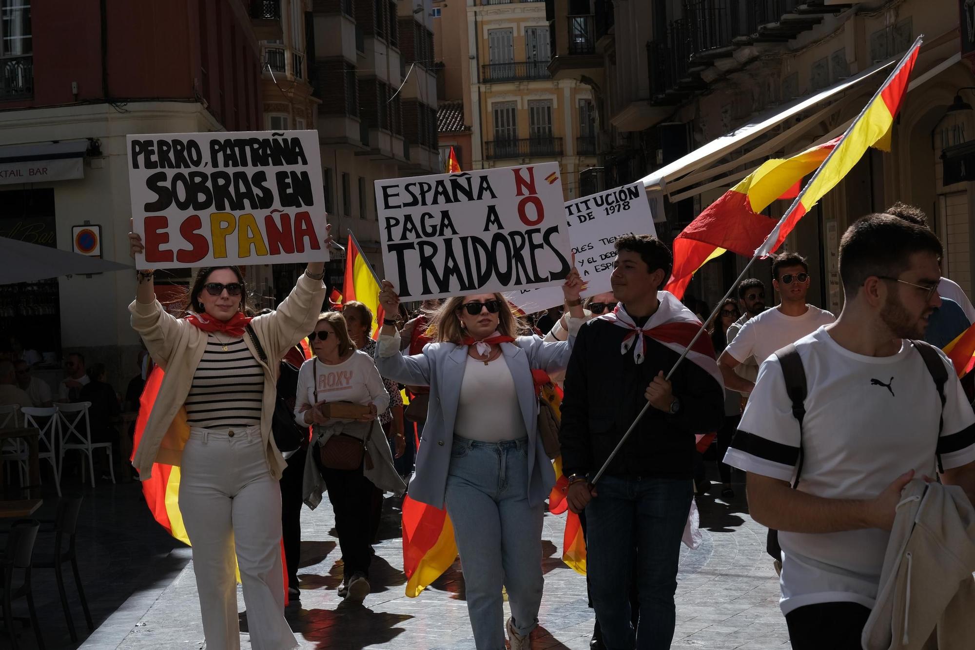 La manifestación del PP contra la amnistía de Málaga,  en imágenes