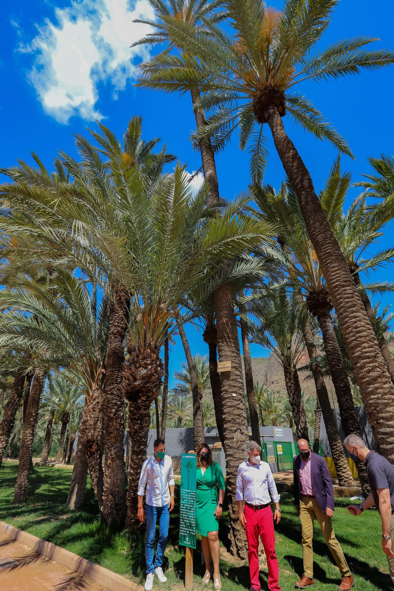 Orihuela celebra el Día del Medio Ambiente con talleres, rutas y un mercado de artesanía en su espacio más emblemático