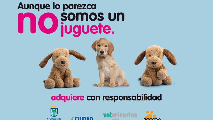 ¡No son juguetes! Promueve la adquisición responsable de mascotas