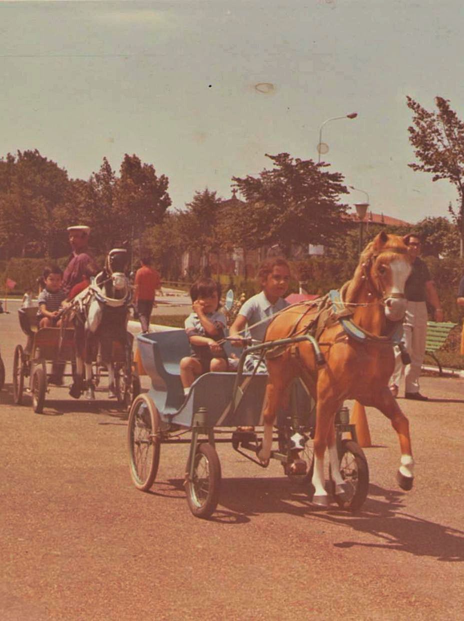 Niños en los caballitos.